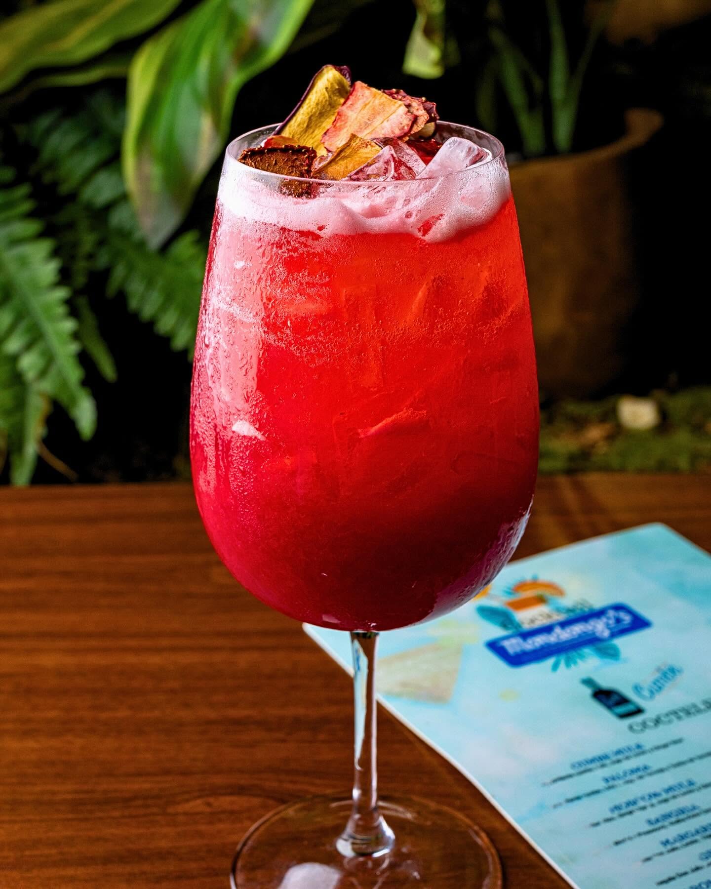 Bright red berry cocktail garnished with dried fruit