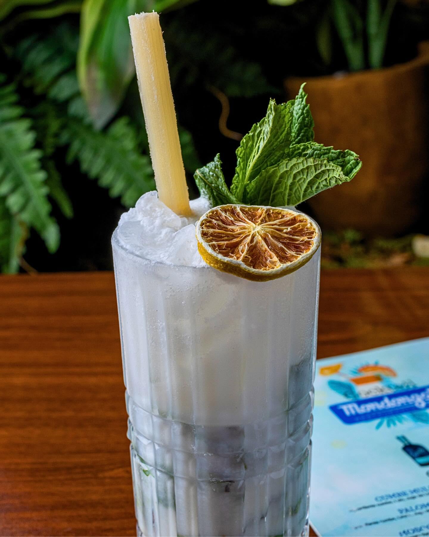 Iced Colombian cocktail with sugarcane stick, mint and dried lime